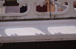 conservatory cleaning